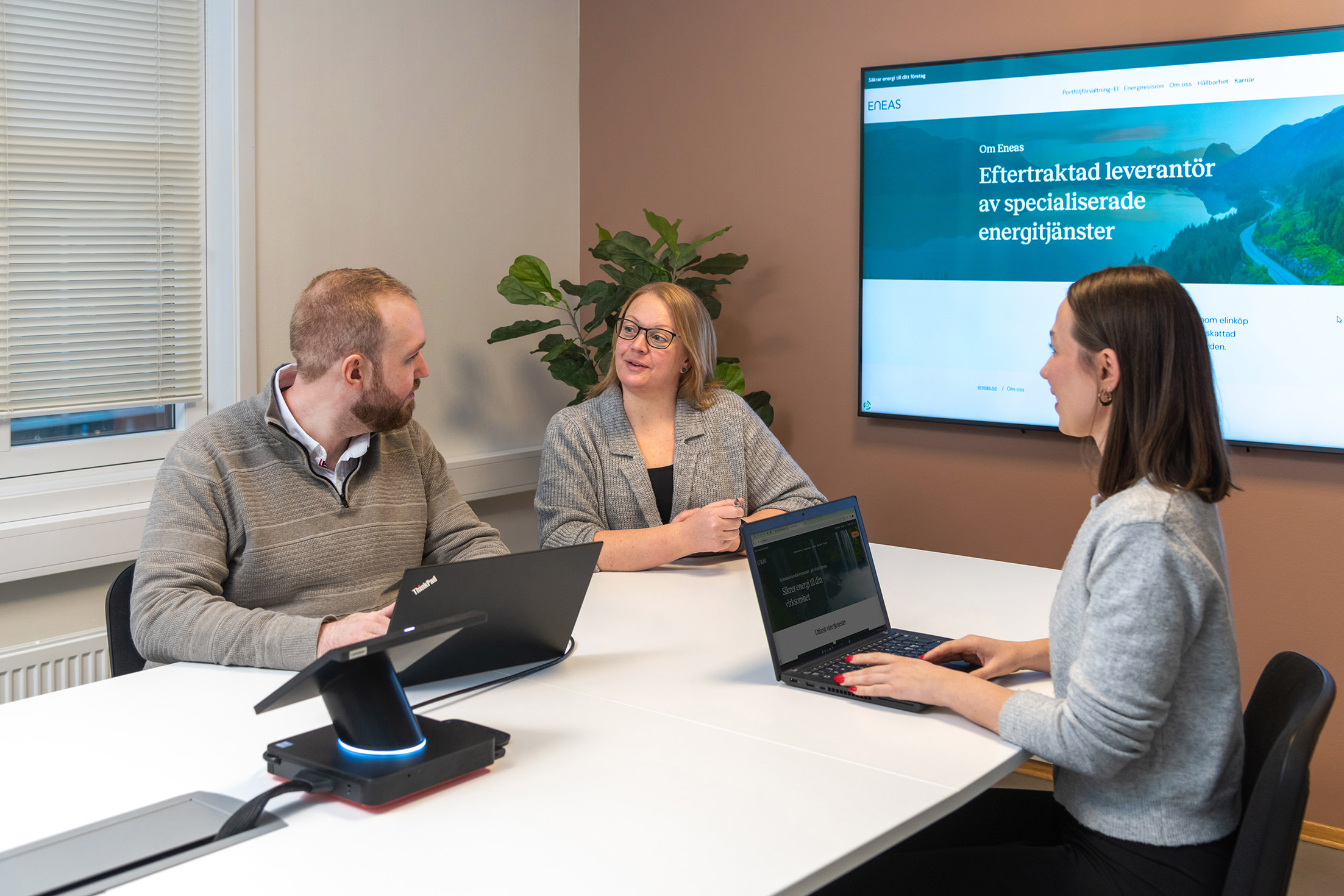 Three people having a meeting in an office with laptops, a screen displaying the eneas.se website, and a plant in the background.